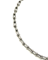 Horseshoe Chain Link Necklace