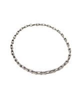 Horseshoe Chain Link Necklace